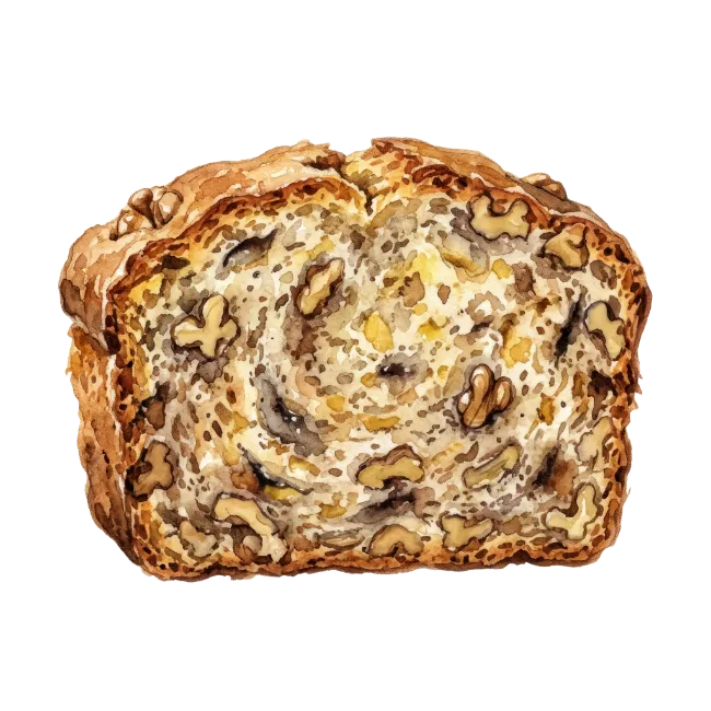 Watercolor Walnut Bread Slice Illustration