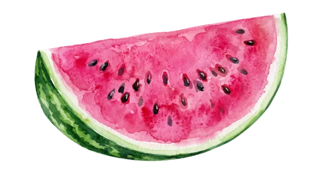 Watercolor Watermelon Slice