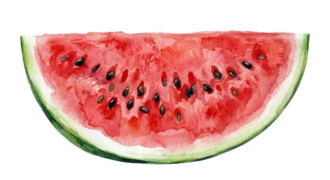 Watercolor Watermelon Slice