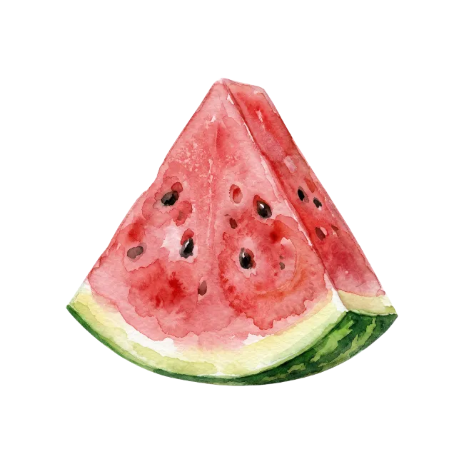 Watercolor Watermelon Slice Illustration