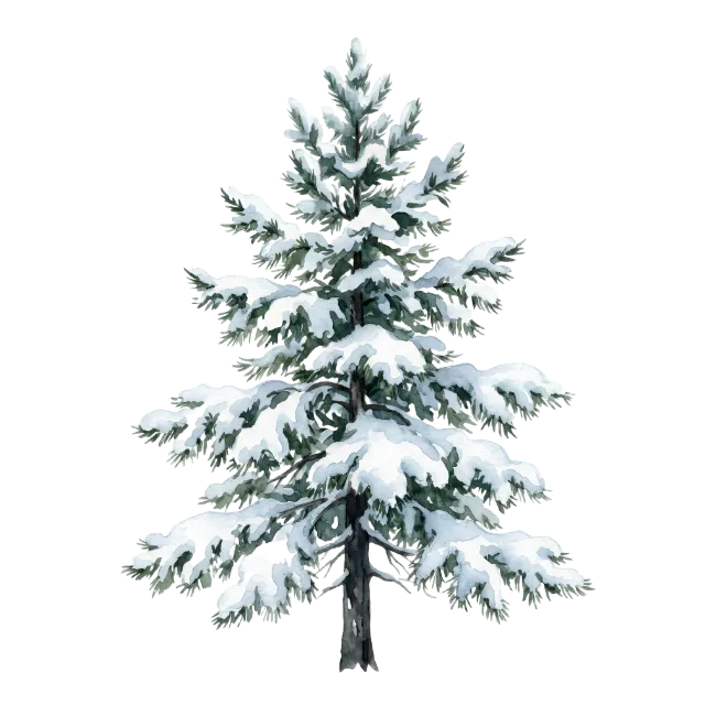 Watercolor Winter Pine Tree with Snow