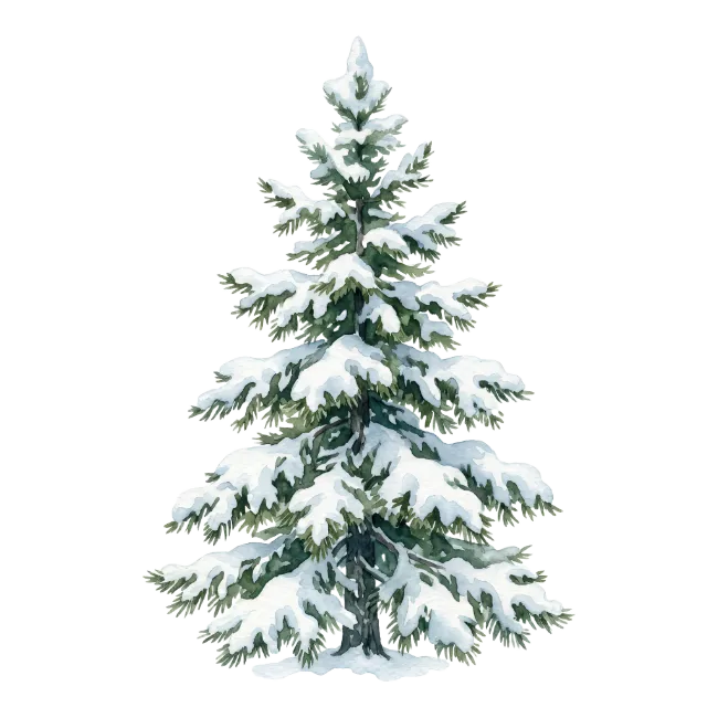 Watercolor Winter Pine Tree with Snow