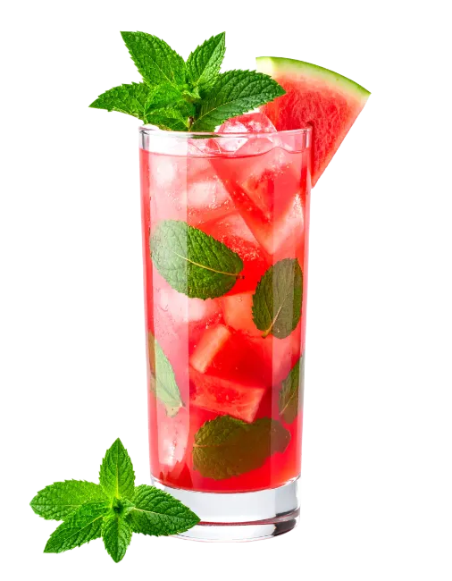 Watermelon Mojito Cocktail with Mint Leaves
