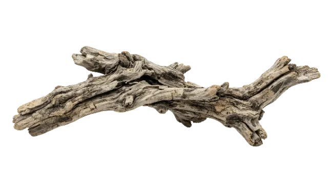 Weathered Driftwood Branch