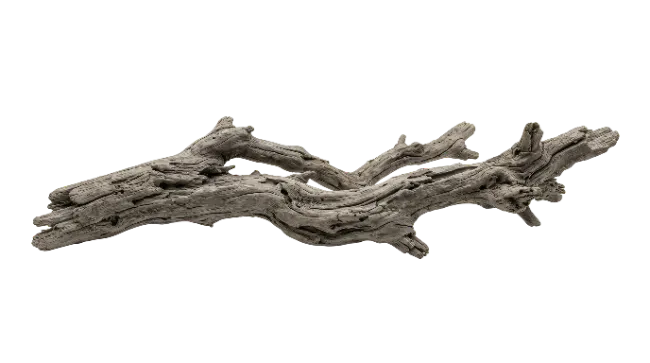 Weathered Driftwood Log Isolated