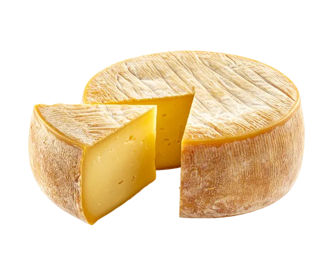 Wheel of artisan cheese with cut wedge slice