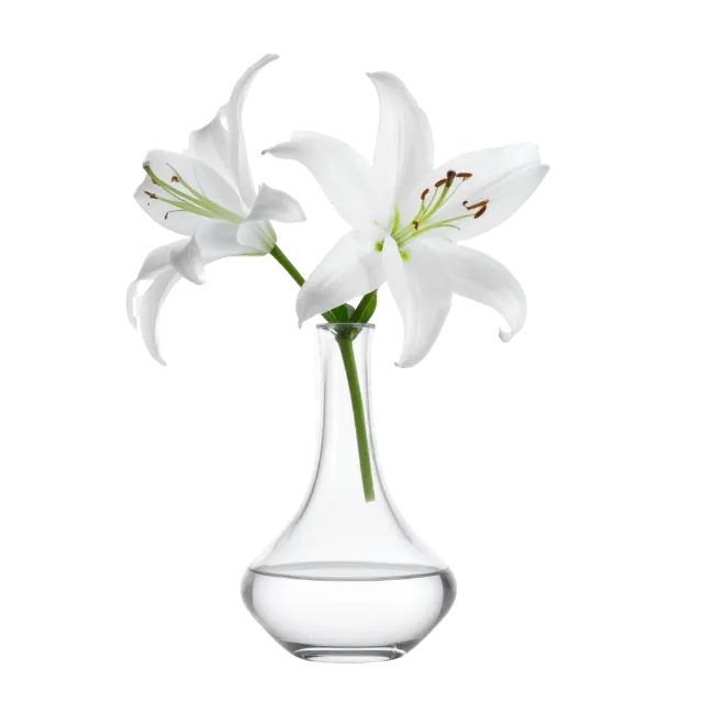 White Lilies in Glass Vase
