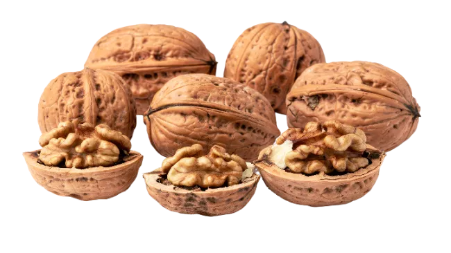 Whole and Cracked Walnuts on White Background