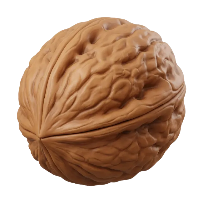 Whole Brown Walnut in Shell