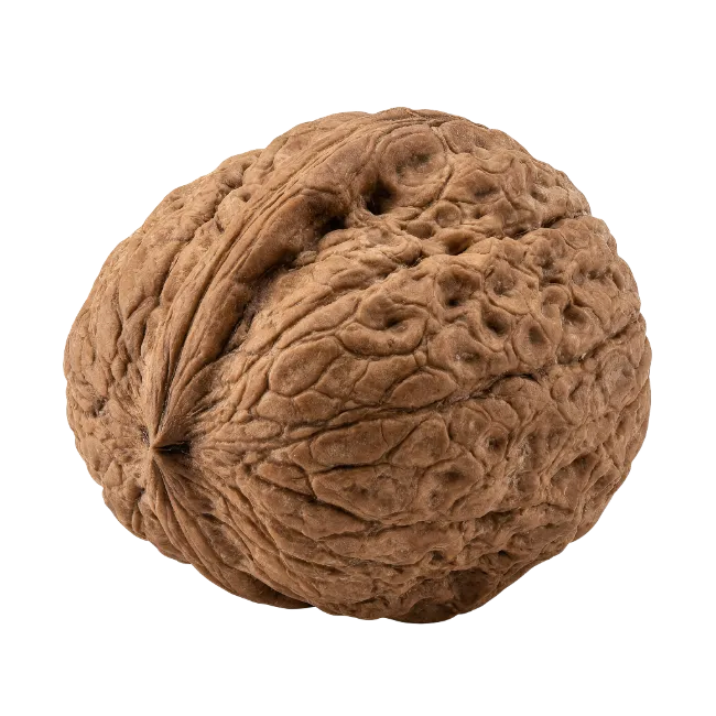 Whole Brown Walnut In Shell