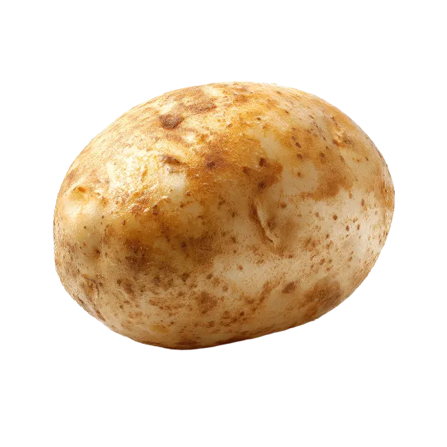 Whole Fresh Russet Potato