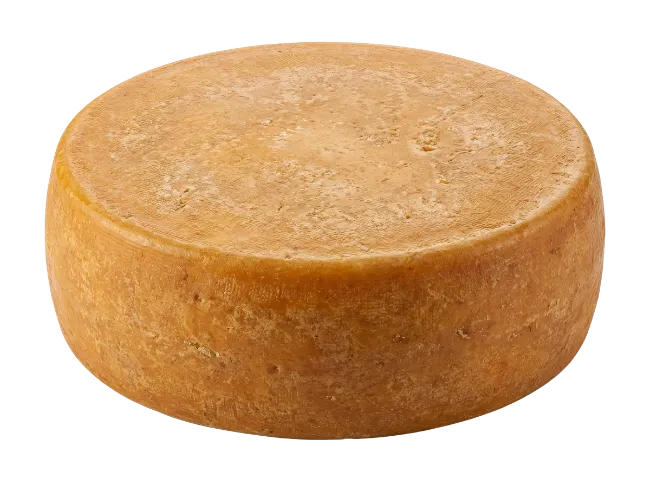 Whole wheel of aged yellow cheese