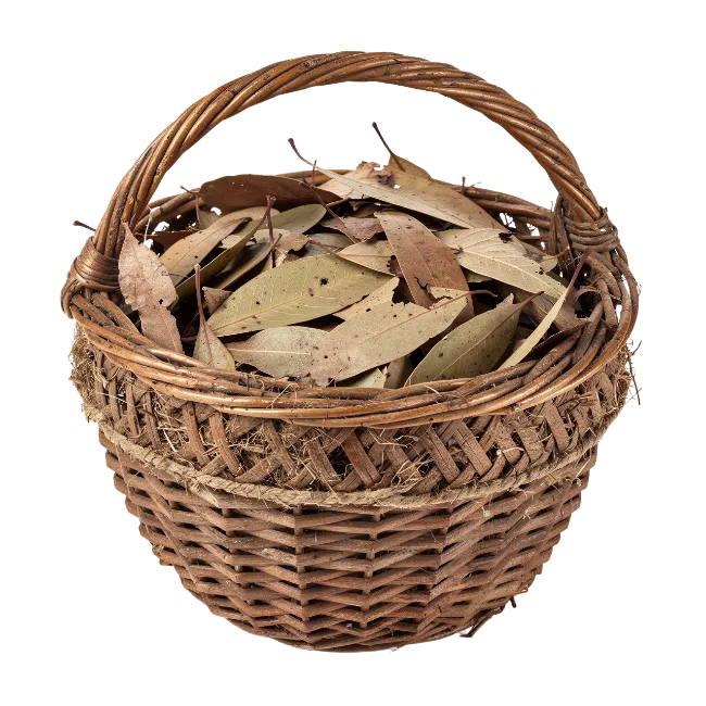 Wicker basket filled with dry brown leaves