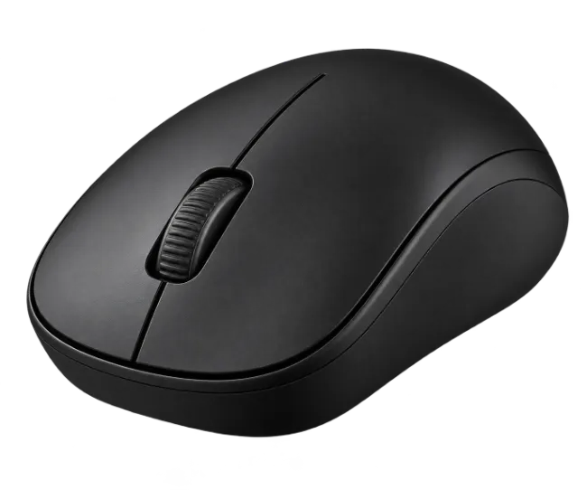 Wireless Black Computer Mouse
