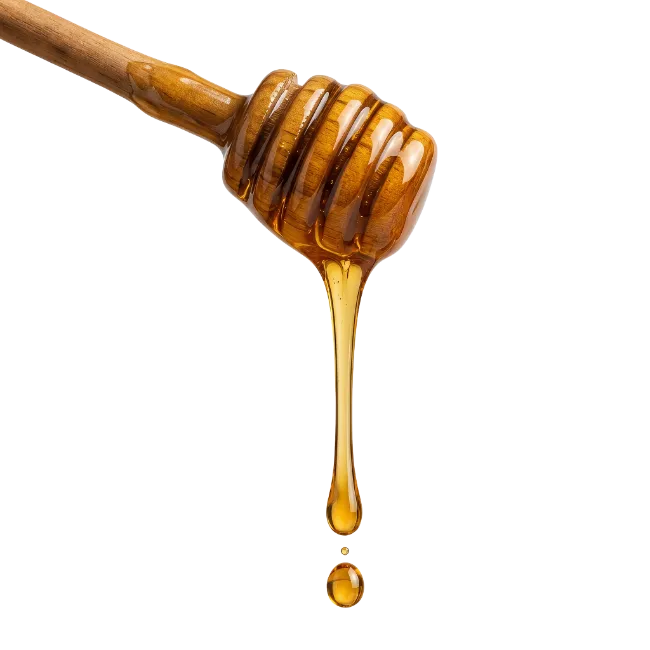 Wooden honey dipper dripping sweet golden honey