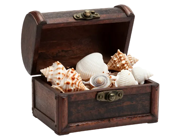 Wooden Treasure Chest With Seashells