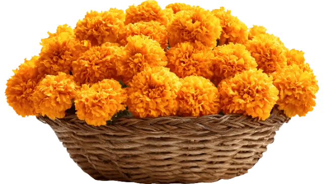 Woven Basket Filled With Vibrant Orange Marigold Flowers