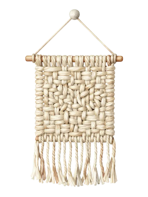 Woven Macrame Wall Hanging Decor