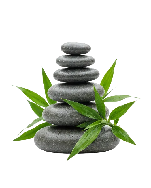 Zen Balance Stones with Bamboo Leaves